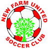 Neubauernhof Football Team