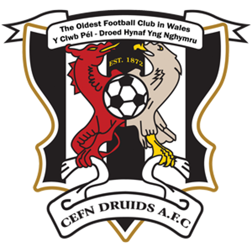 Druids – Football Team