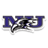Niagara Basketball Team