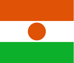 Hold Niger (w) U17. Opstilling Football