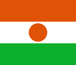 Niger (w) – Football Team