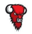 Nilan Bisons – Basketball Team