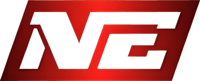 Drużyna Niory Esports. Skład Valorant