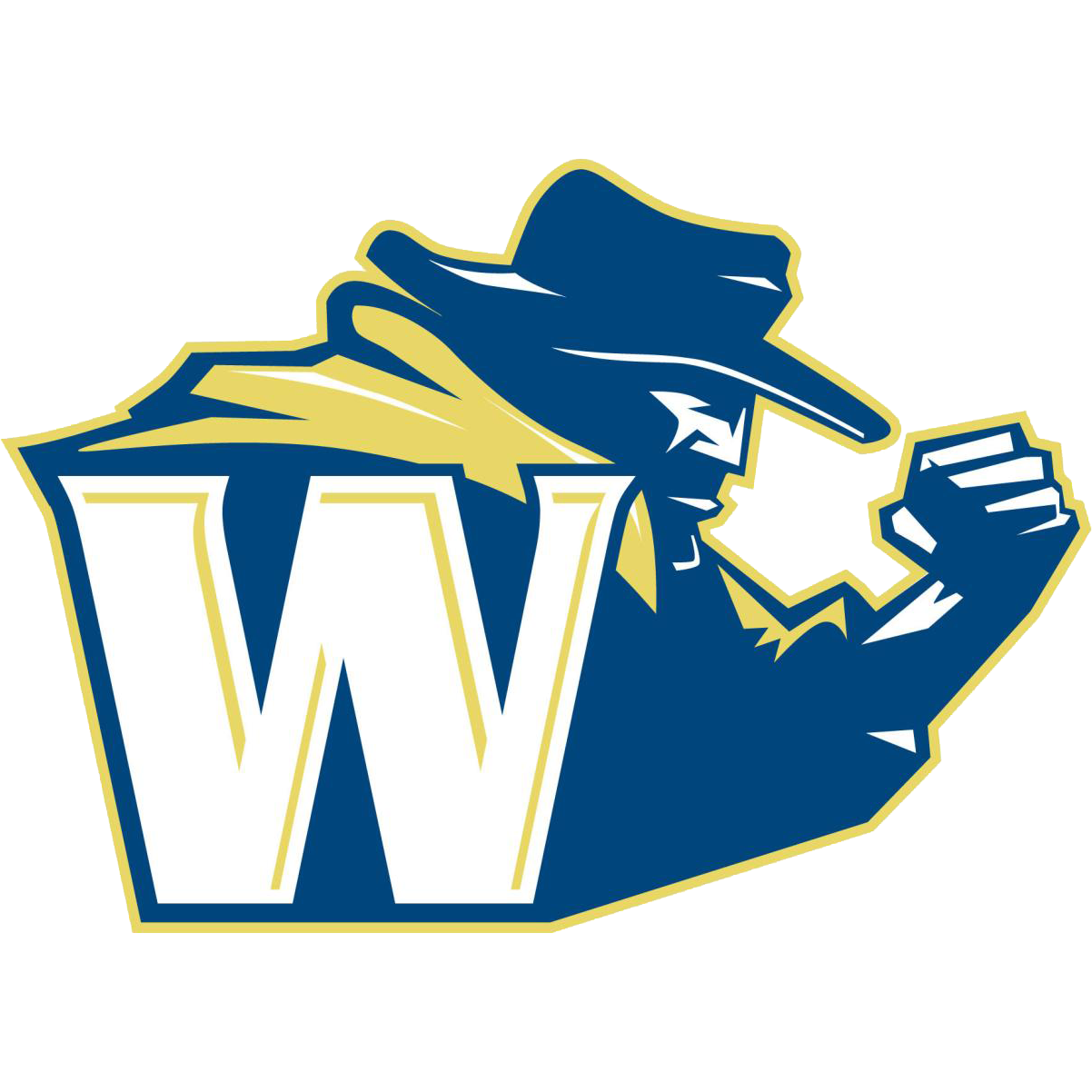 North Carolina Wesleyan – Basketball Team
