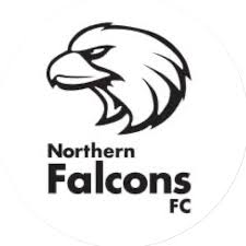 Northern Falcons – Football Team