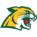 Equipo Michigan del Norte. Composición De Basketball