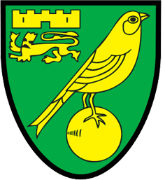 Equipo Norwich U18. Composición De Football