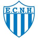 Equipo Novo Hamburgo U19. Composición De Football