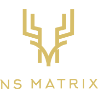 NS Matrix Hirsche Basketball Team