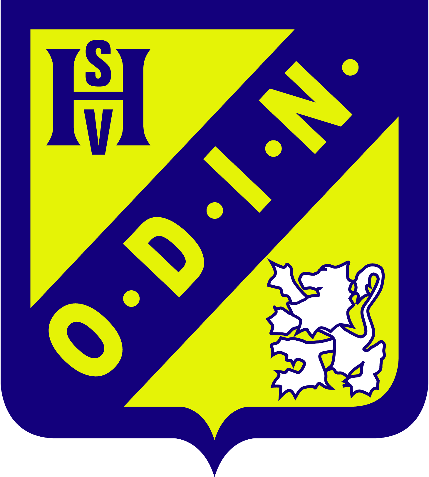 ODIN Football Team