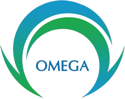 Equipo Omega Esports. Composición De Dota 2