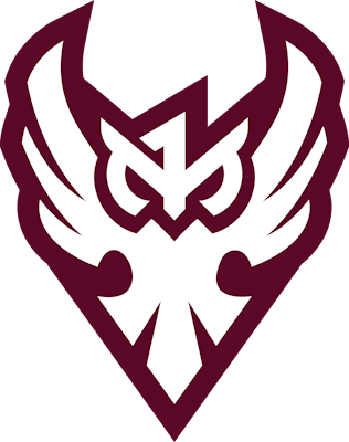 Hold One More Esports. Opstilling Valorant