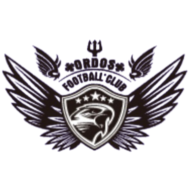 Ordos Dongsheng Mansen – Football Team