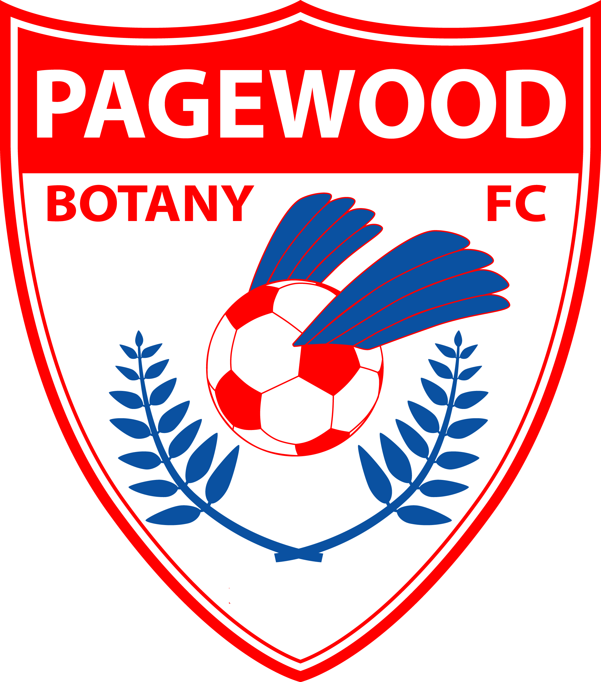 Pagewood Botany – Football Team
