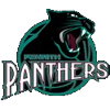 Panther – Basketball Team