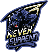 Panthers Never Surrend CS2 (CS:GO) Team