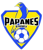 Equipo Papanes de Papantla. Composición De Football