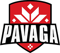 Pavaga Gaming – Dota 2 Team