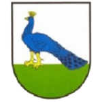 Pavlovce nad Uhom – Football Team