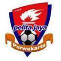 Pelita Jaya – Football Team