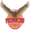 Pichincha Potosí – Basketball