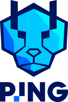 Команда PING Cheetahs. Состав Valorant