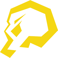 Команда piratesports. Состав LoL