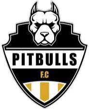 Hold Pitbulls. Opstilling Football