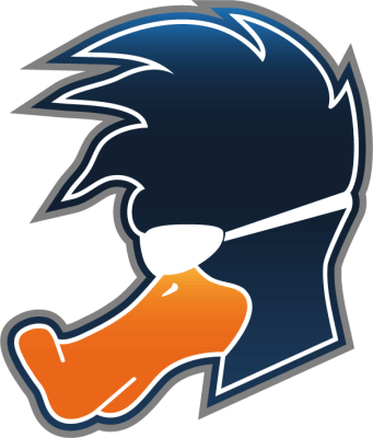 Playing Ducks – CS2 (CS:GO) Équipe