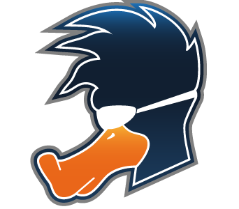Playing Ducks Rocket League Team