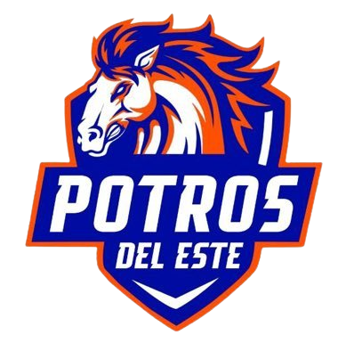 Equipo Potros Del Este Reserves. Composición De Football