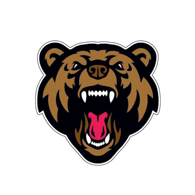 Power Bears – CS2 (CS:GO) Team