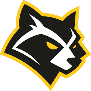 Procyon Team, склад з CS2 (CS:GO)