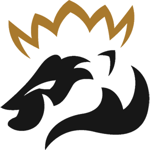Pryde – CS2 (CS:GO) Team