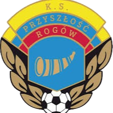 Equipo Przyszlosc Rogow. Composición De Football