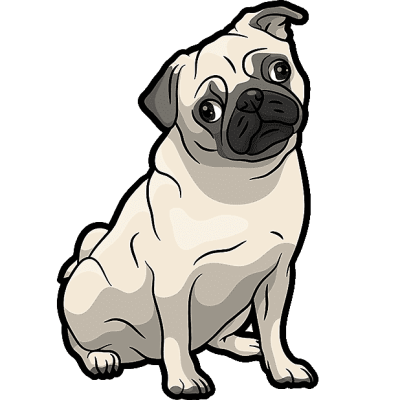 puGG Valorant Team