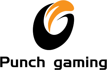 Команда Punch Gaming. Состав Dota 2