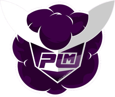 Drużyna Purple Mood E-Sport. Skład Valorant