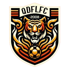 Qingdao Fuli – Football Team