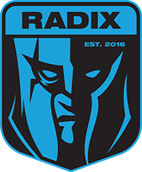 RADIX – CS2 (CS:GO)