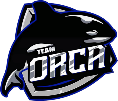 Team Orca – Dota 2