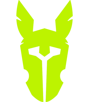 Drużyna Rainbow Warriors. Skład LoL
