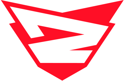 Drużyna Rebels Gaming. Skład LoL