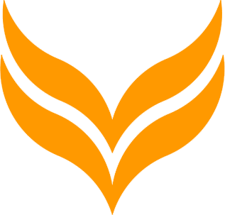 Rebirth Esports CS2 (CS:GO)队