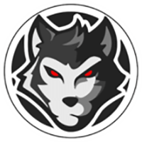 Hold Reckoning Esports. Opstilling Dota 2