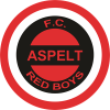 Red Boys Aspelt – Football Team