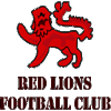 Equipo Red Lions. Composición De Football
