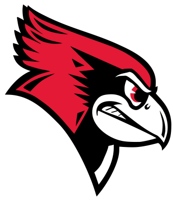 Drużyna Redbird Esports. Skład Overwatch