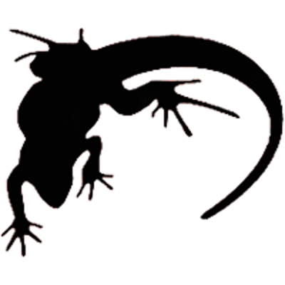 Relaxed Reptilians – Valorant Team