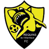 Drużyna Rekiny. Skład Football